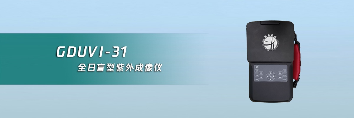 国电西高