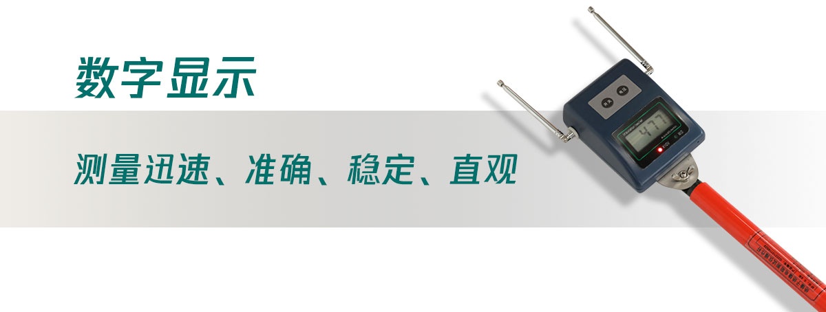 国电西高