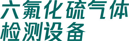 国电西高六氟化硫气体检测设备