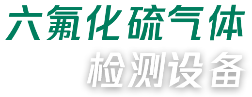 国电西高六氟化硫气体检测设备