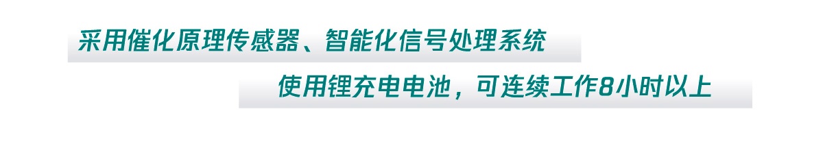 国电西高