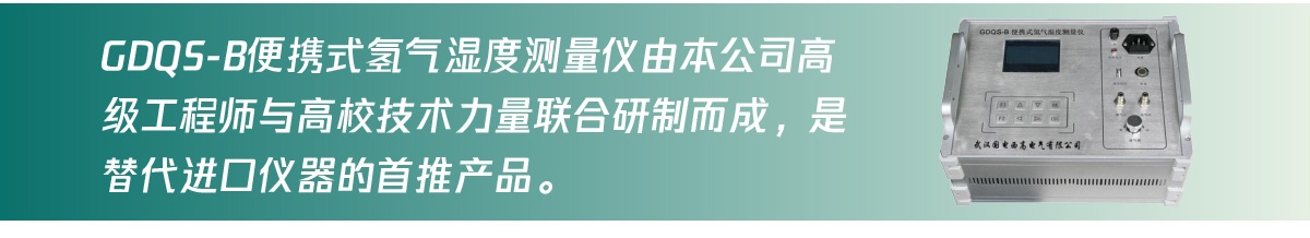 国电西高