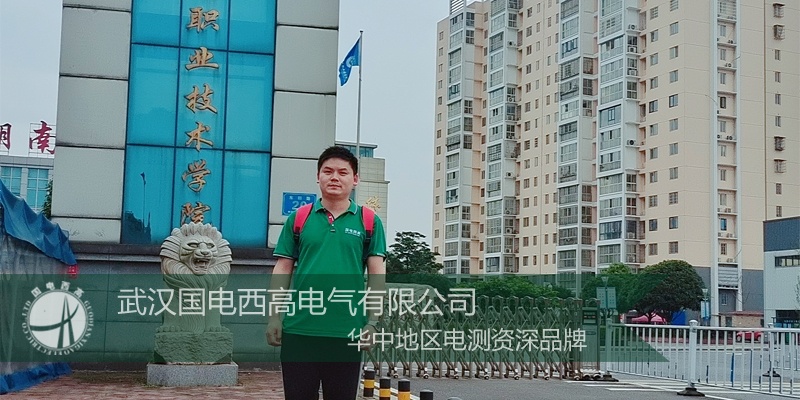 国电西高