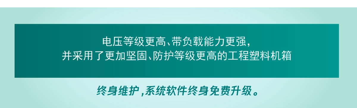 国电西高