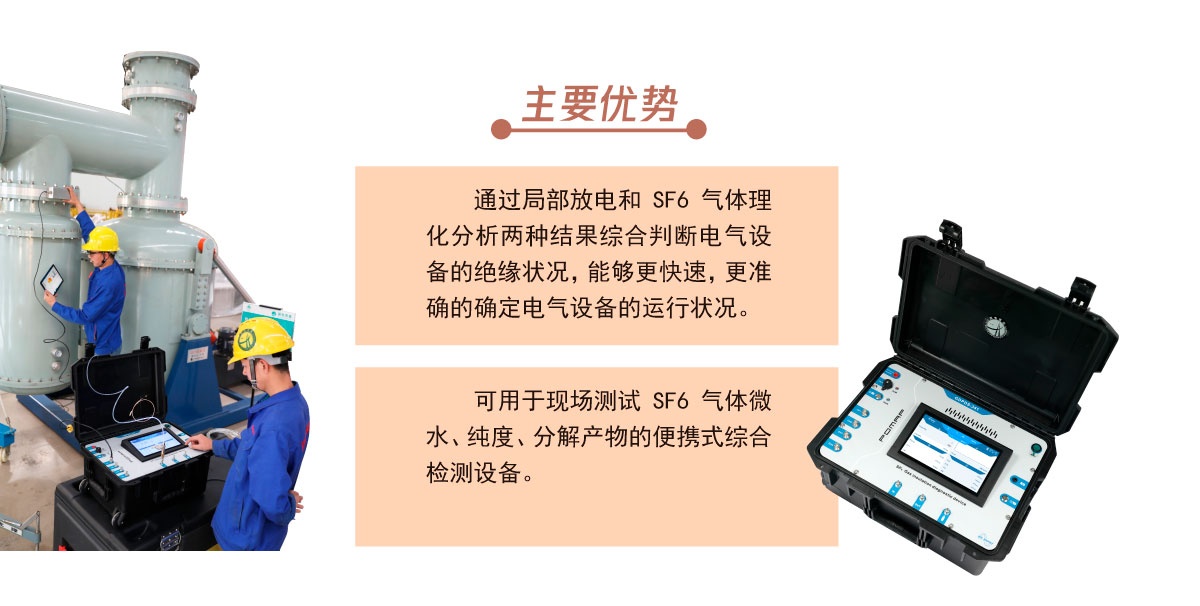 国电西高