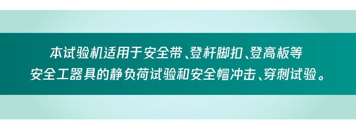 国电西高