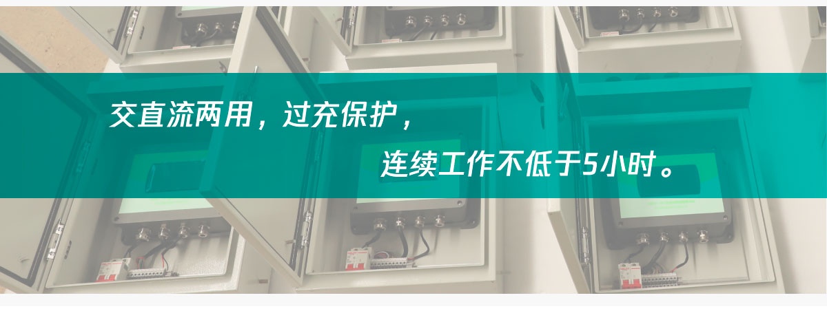 国电西高