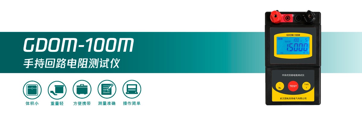 国电西高