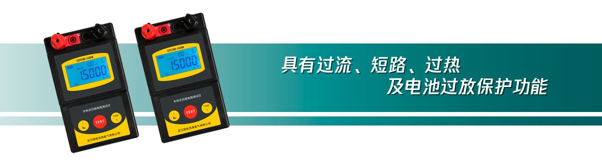 国电西高