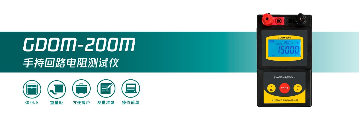 国电西高