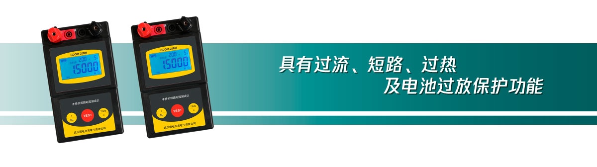 国电西高