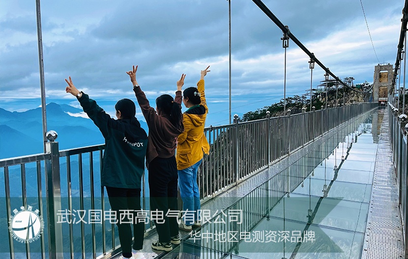 国电西高