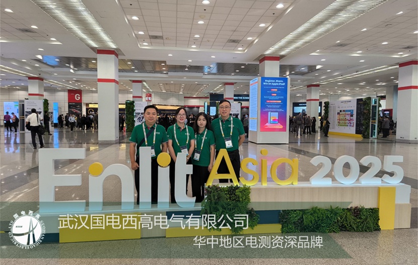 武汉国电西高电气有限公司圆满结束 Enlit Asia 2025 泰国参展之旅