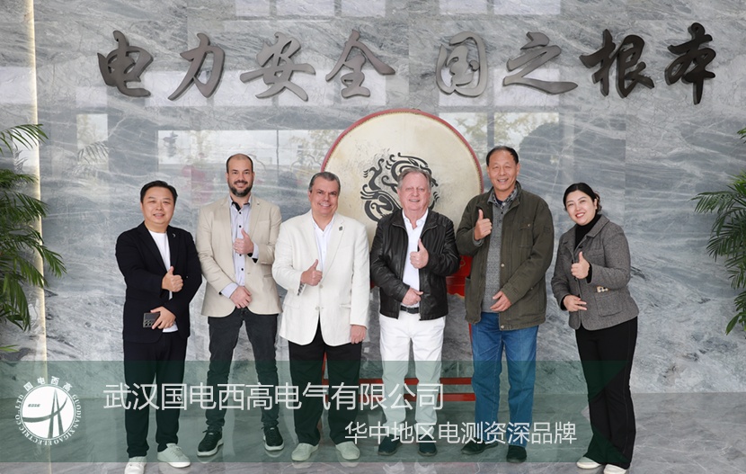 以实力为基,以诚意为桥:国电西高喜迎国际核心客户深度探访