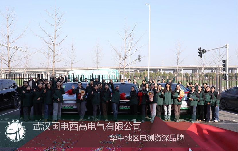 双璧耀西高 奋斗铸传奇 — 国电西高功勋精英铸就发展里程碑纪实